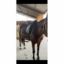 Selle de dressage Éric Thomas