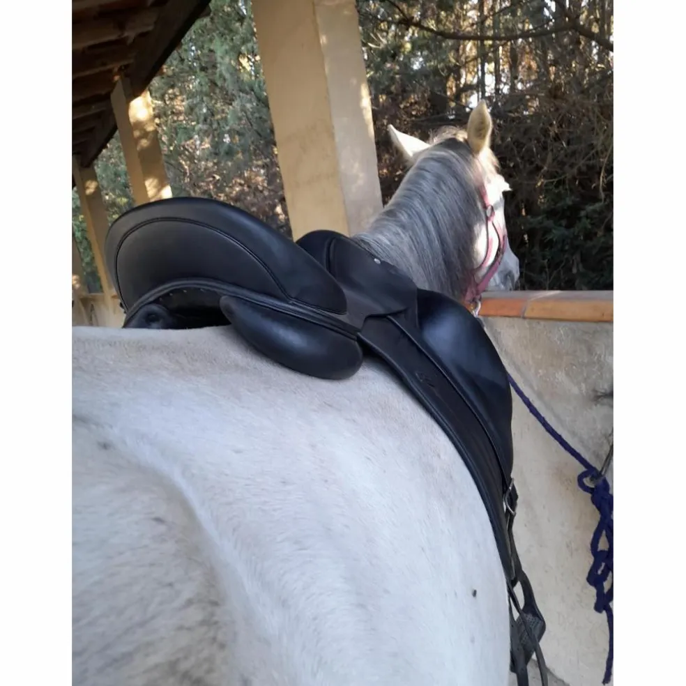 Selle de dressage antares