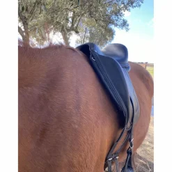 selle de dressage Antares Cadence