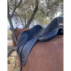selle de dressage Antares Cadence