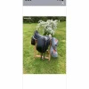 Selle de dressage Childeric