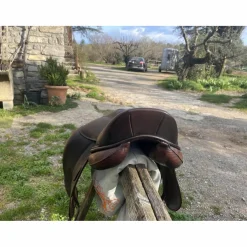 selle de dressage Childeric