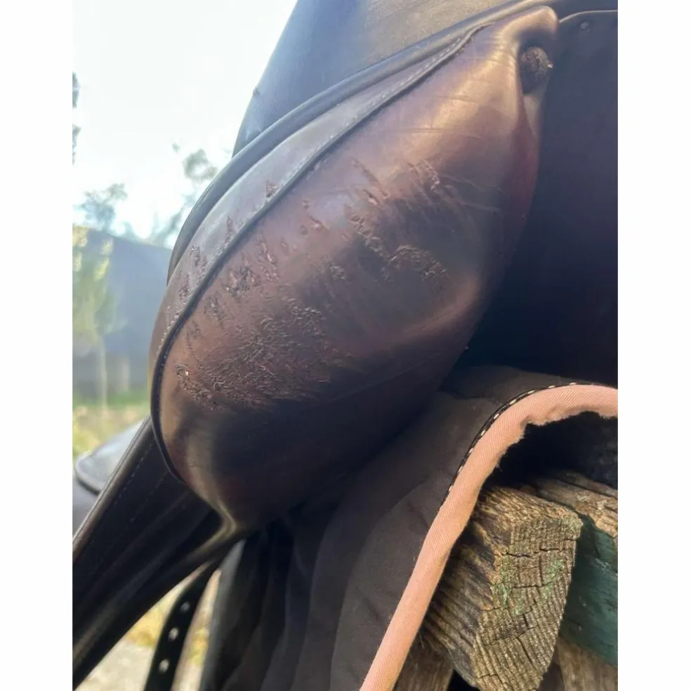 selle de dressage Childeric