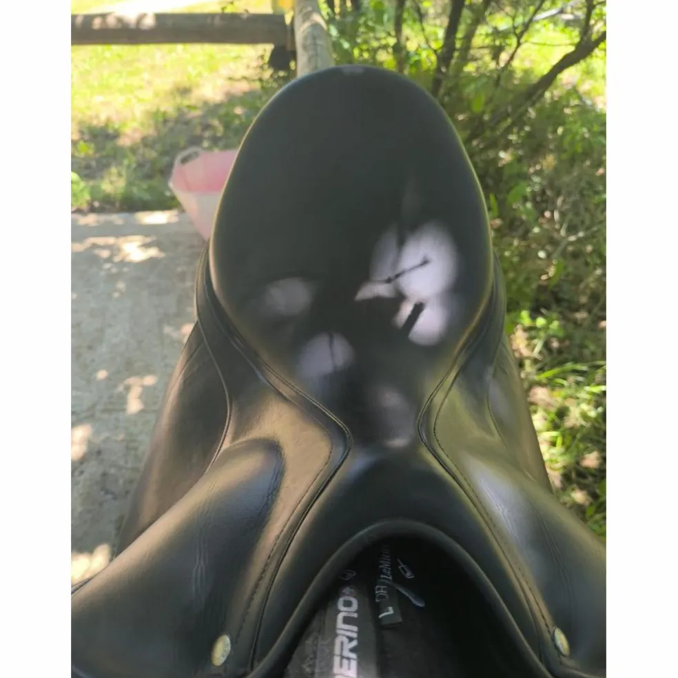 Selle de dressage Childéric