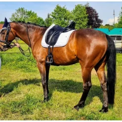Selle de dressage Devoucoux Loreak – 2017 – 17,5" / Quartiers 3A – Très bon état