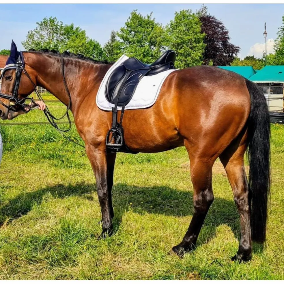Selle de dressage Devoucoux Loreak – 2017 – 17,5" / Quartiers 3A – Très bon état