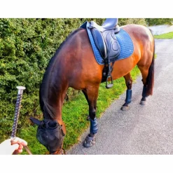 Selle de dressage Devoucoux Loreak – 2017 – 17,5