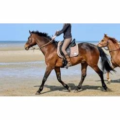 Selle de dressage Devoucoux Loreak – 2017 – 17,5