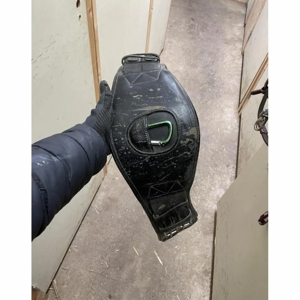 Selle de dressage Devoucoux