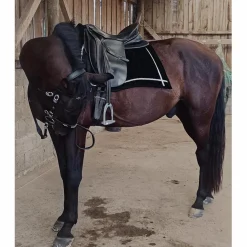 Selle de dressage Otto Schumacher