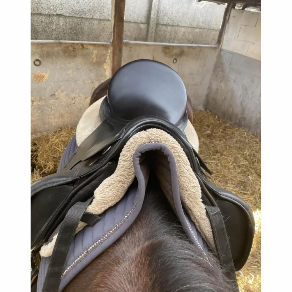 selle de dressage passier 17’