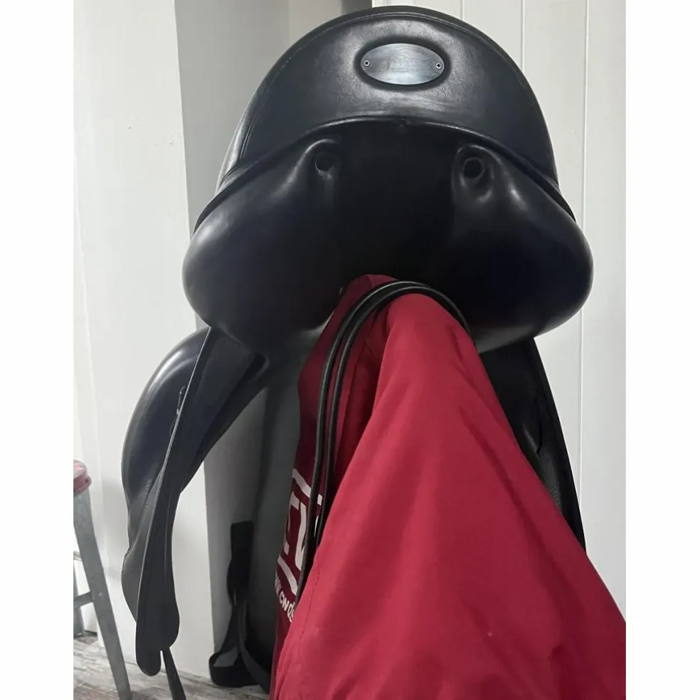 Selle de dressage Équipe