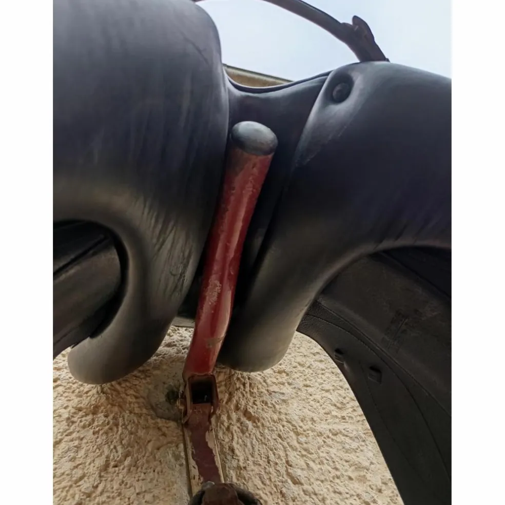 Selle de dressage Équipe