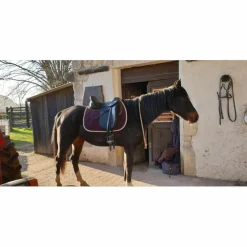 Selle de dressage Stubben maestoso