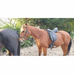 Selle de dressage Stubben maestoso