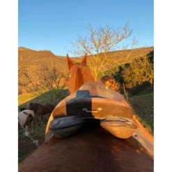Selle de randonnée