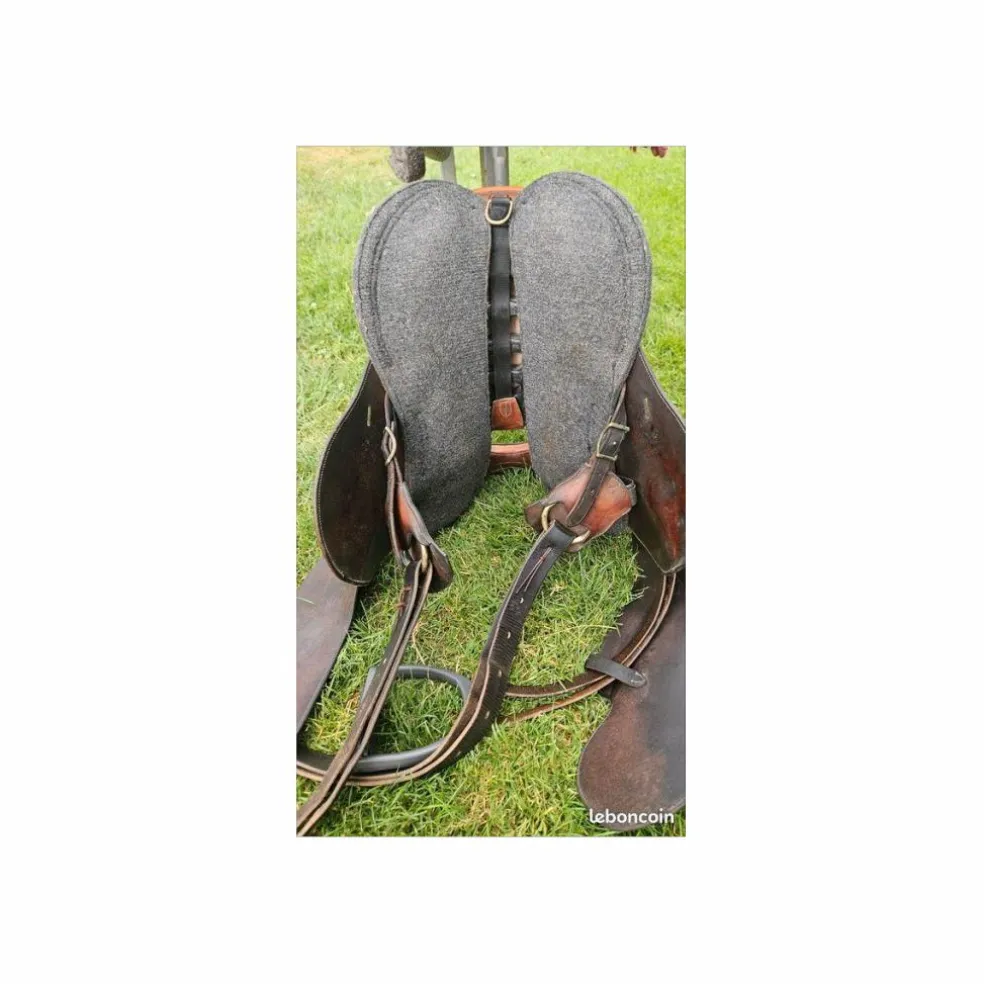 selle de randonnée géologique 2000