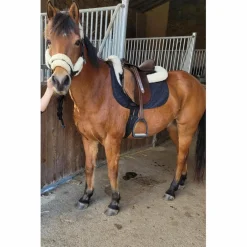 selle d’equitation 16,5"