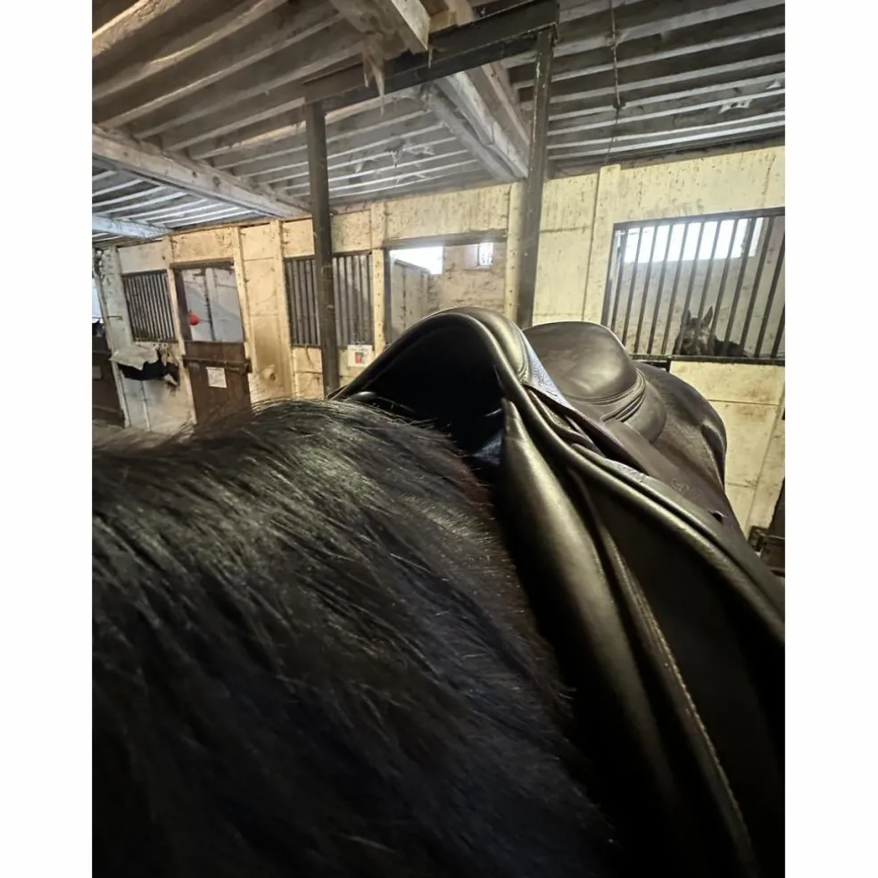 Selle Devoucoux Biarritz S