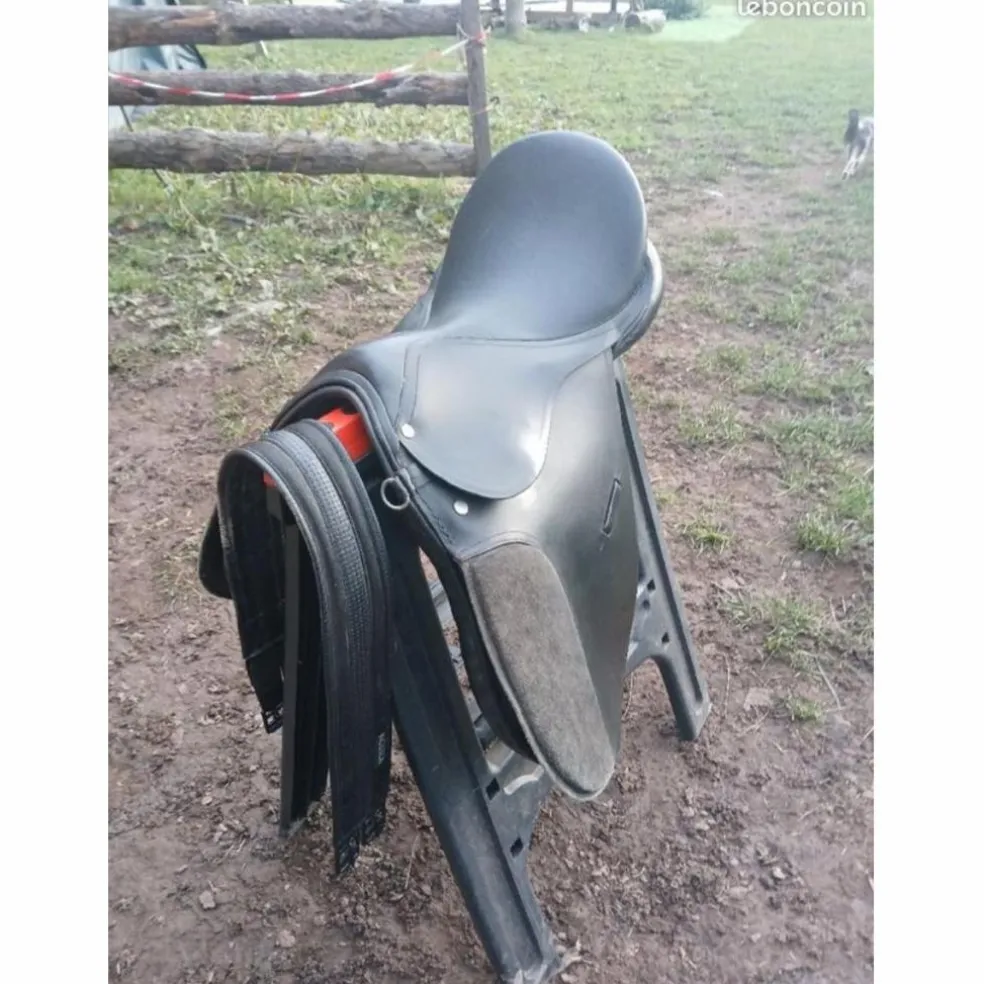 Selle d'équitation mixte