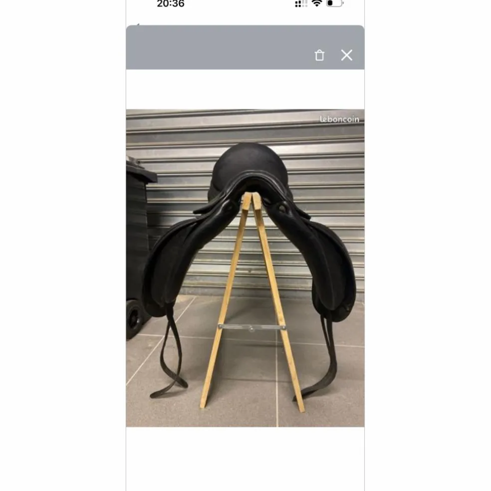 Selle Dressage