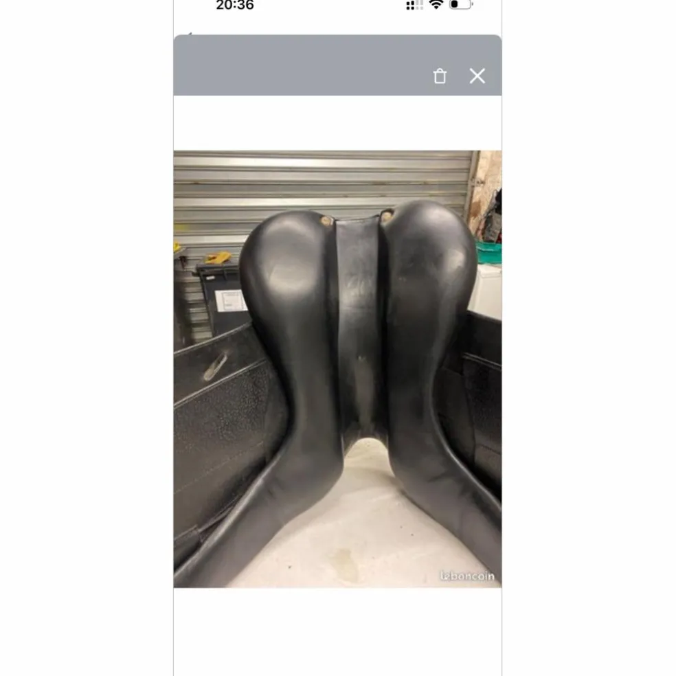 Selle Dressage