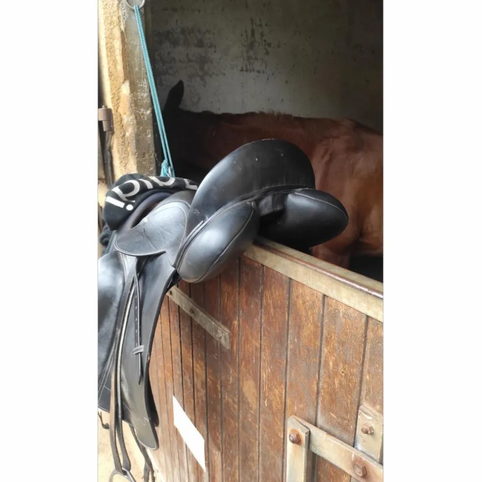 Selle dressage