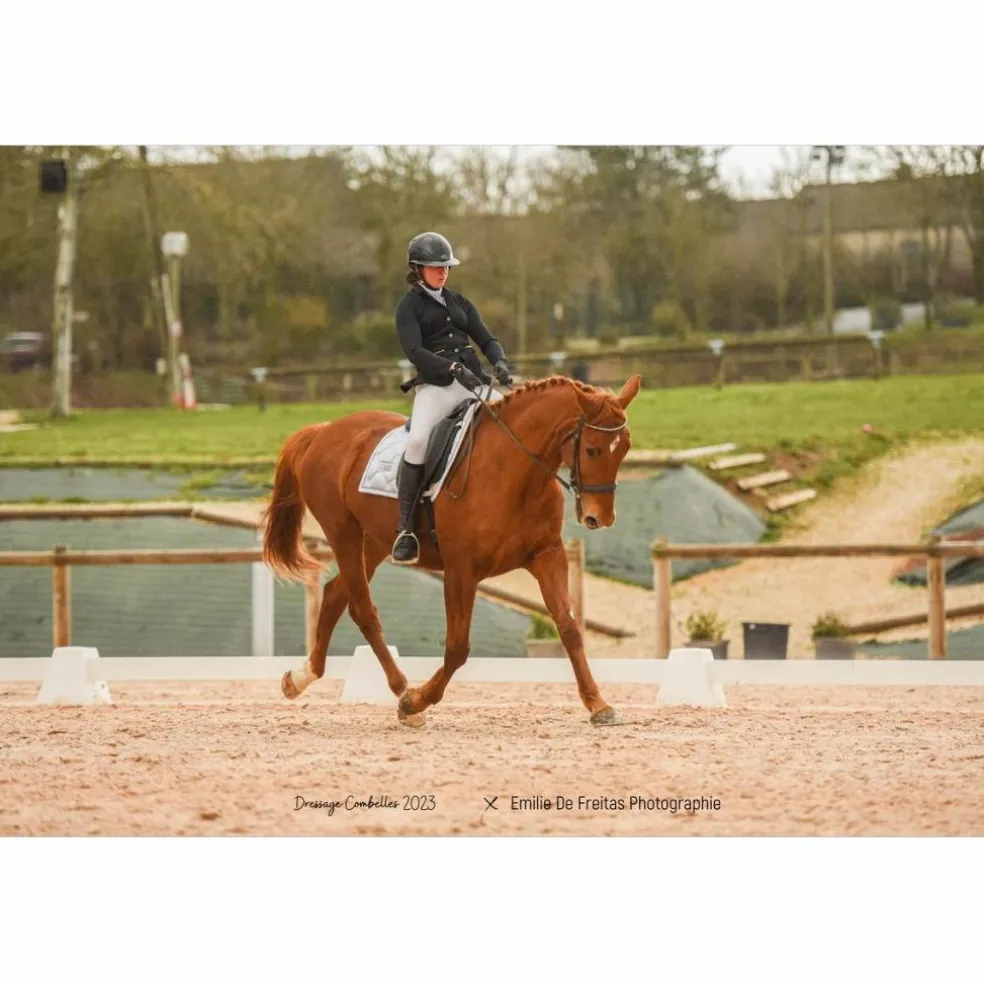 Selle dressage