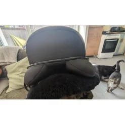Selle dressage