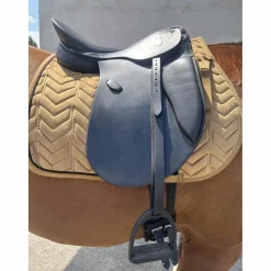 selle dressage
