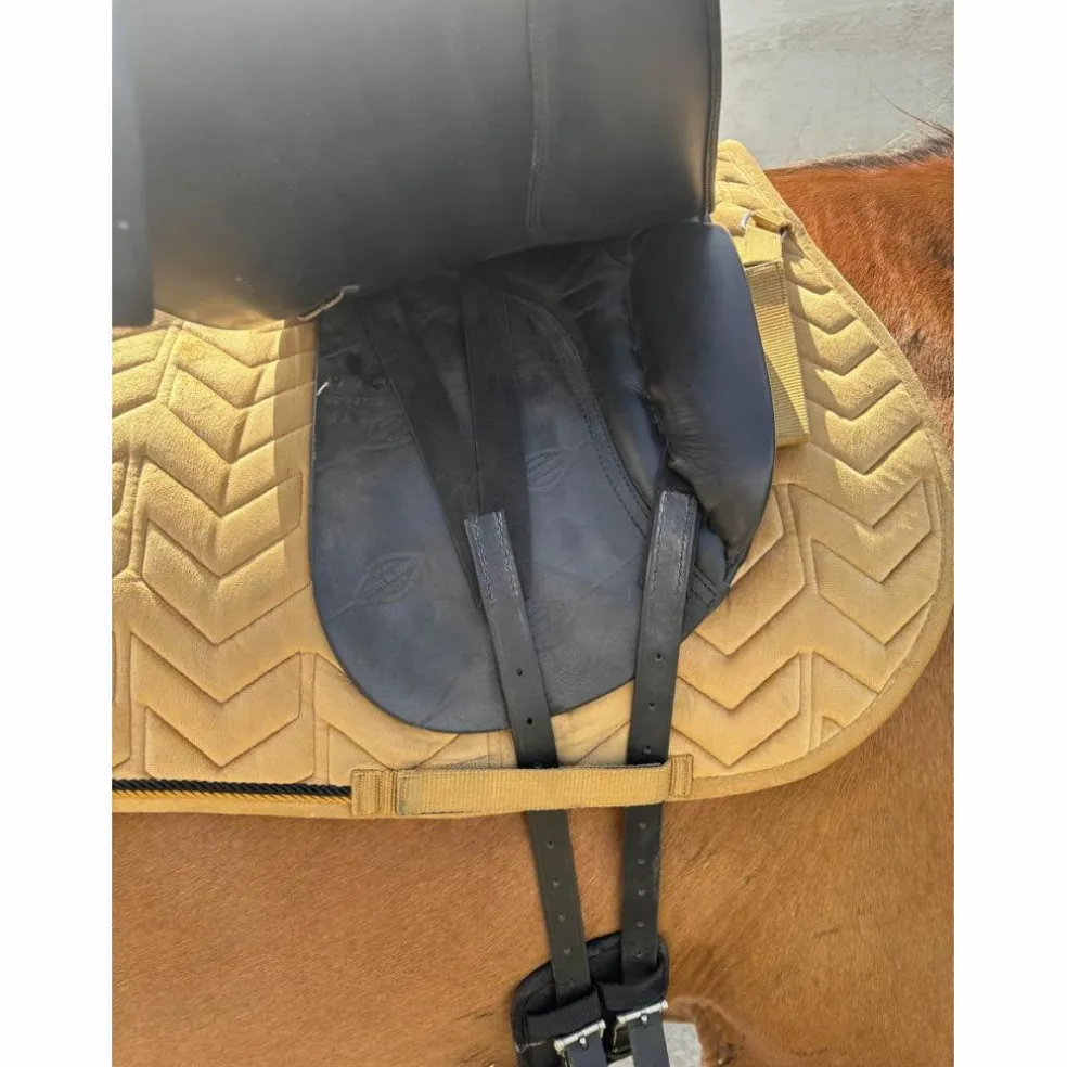 selle dressage