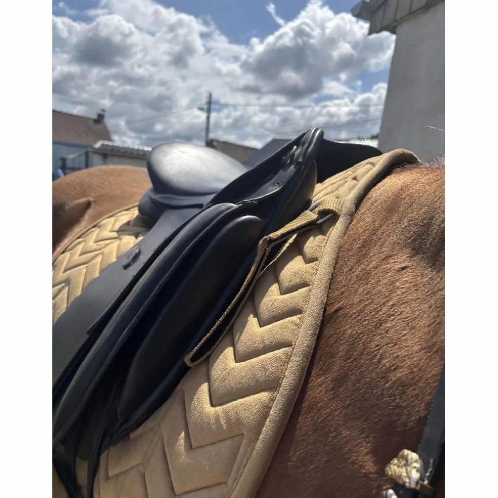 selle dressage