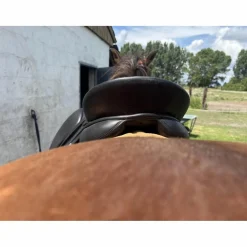 selle dressage