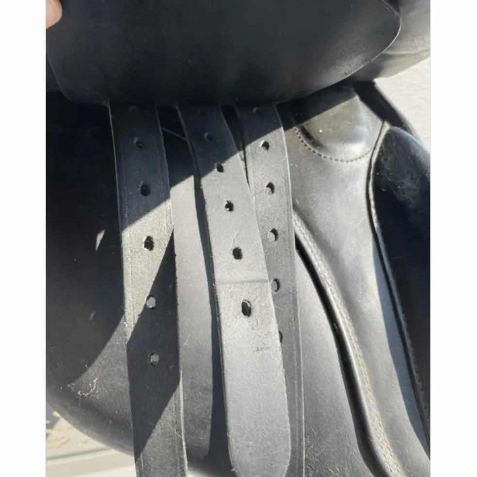 Selle dressage