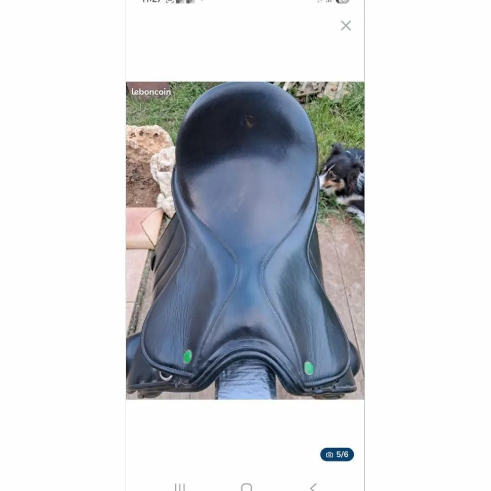 Selle dressage
