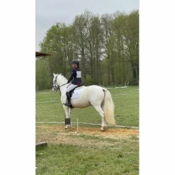 Selle dressage 17 pouces