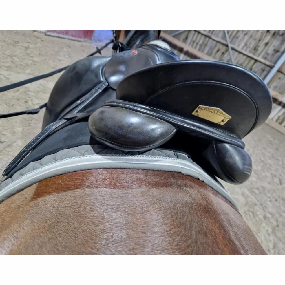 Selle dressage albion