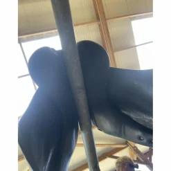 Selle dressage Antares