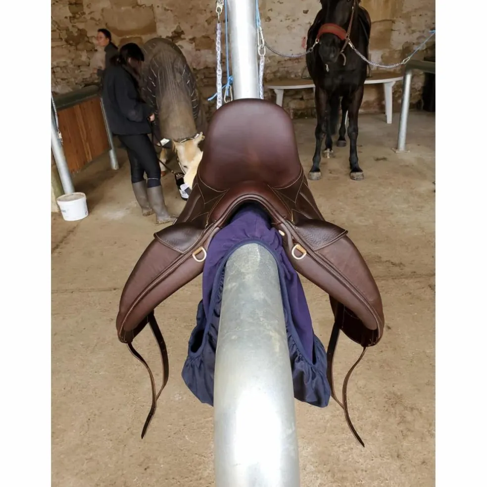 Selle Dressage Antares Concept 17