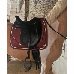 Selle dressage Antares signature 17'5