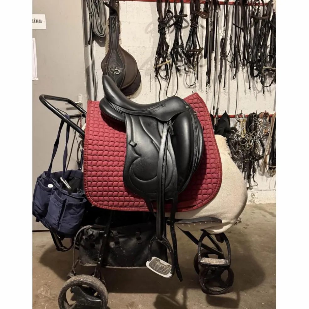 Selle dressage Antarès