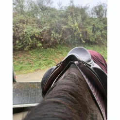 Selle dressage childric