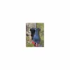 Selle dressage CWD
