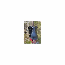 Selle dressage CWD