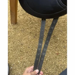 Selle dressage cwd