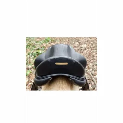 Selle dressage CWD 18’