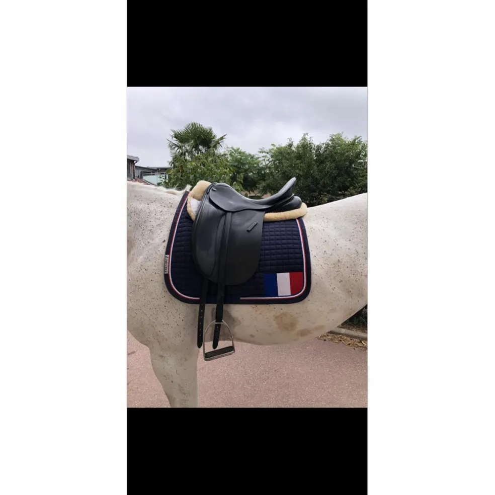 Selle dressage Euroriding