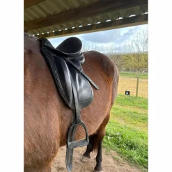 Selle Dressage Forestier Diabolo