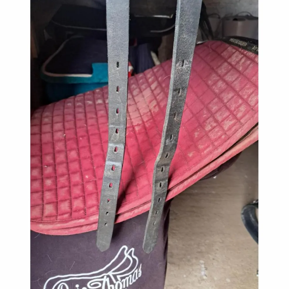 Selle dressage Genesis Stubben