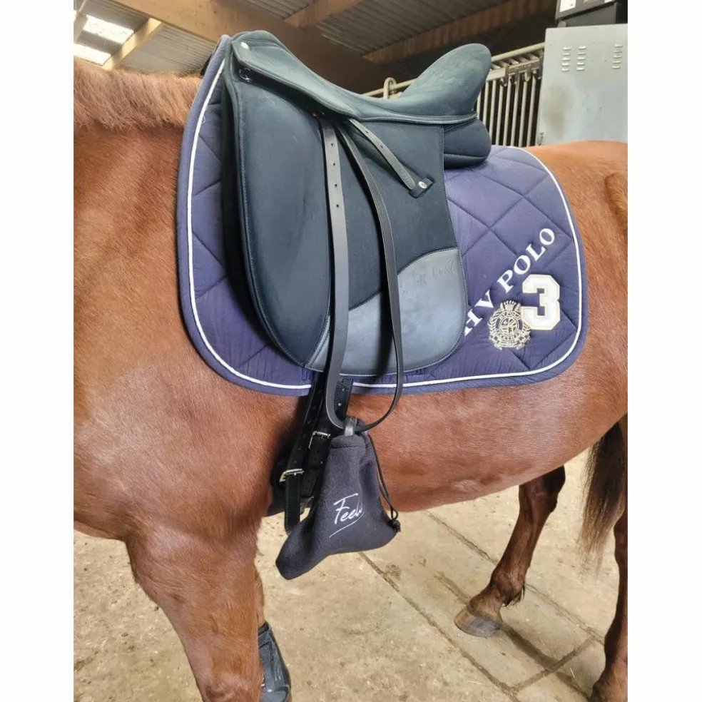 Selle dressage Isabell Werth